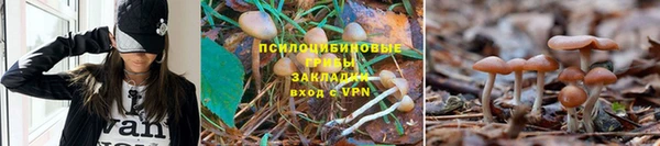 круглые Алексин