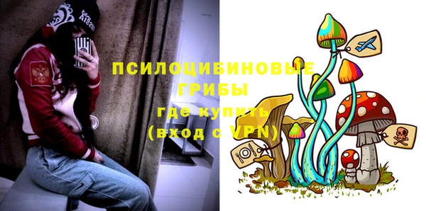 первитин Алексеевка