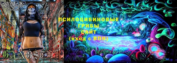 прущая мука Осташков